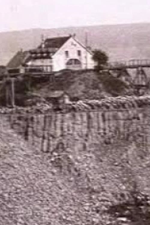 Poster for Nederlandsche Basalt Maatschappij