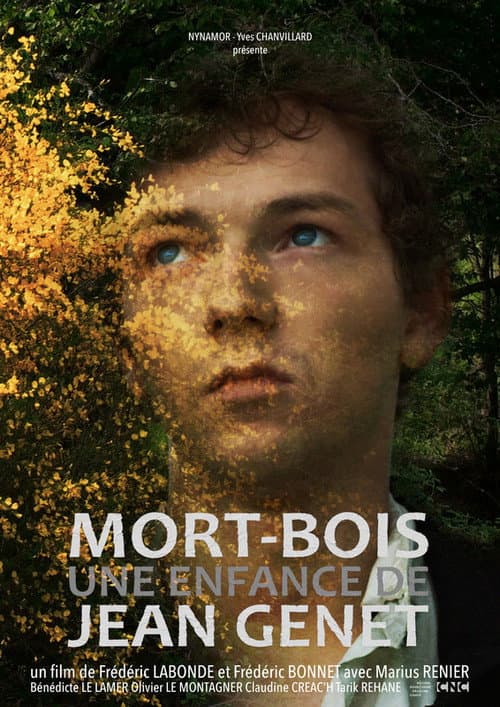 Poster for Mort-Bois, a Young Jean Genet