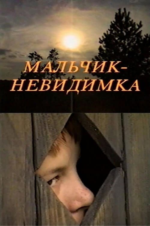 Poster for Invisible Boy