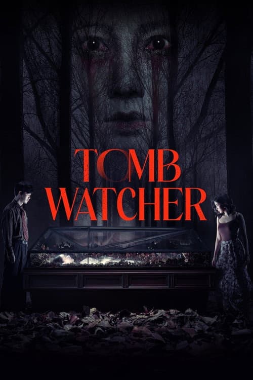 Poster for Tomb Watcher