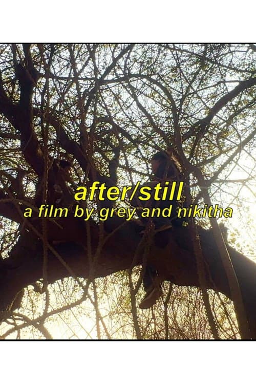 Poster for After/Still