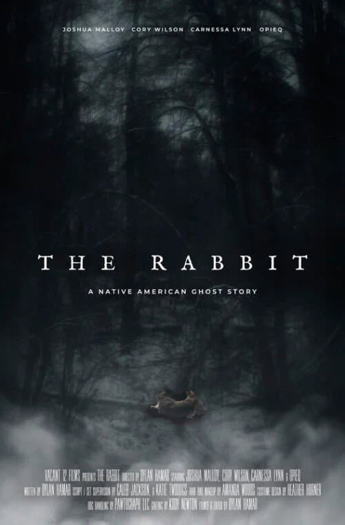 Poster for The Rabbit