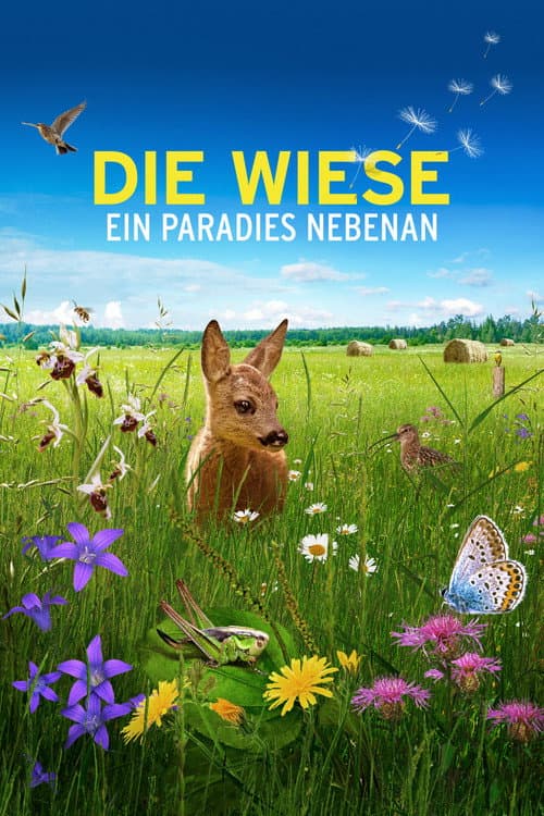Poster for Die Wiese: Ein Paradies nebenan
