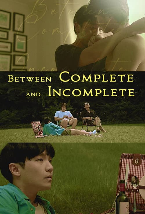 Poster for Between Complete and Incomplete