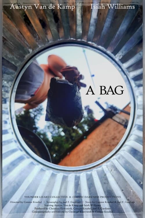 Poster for A Bag