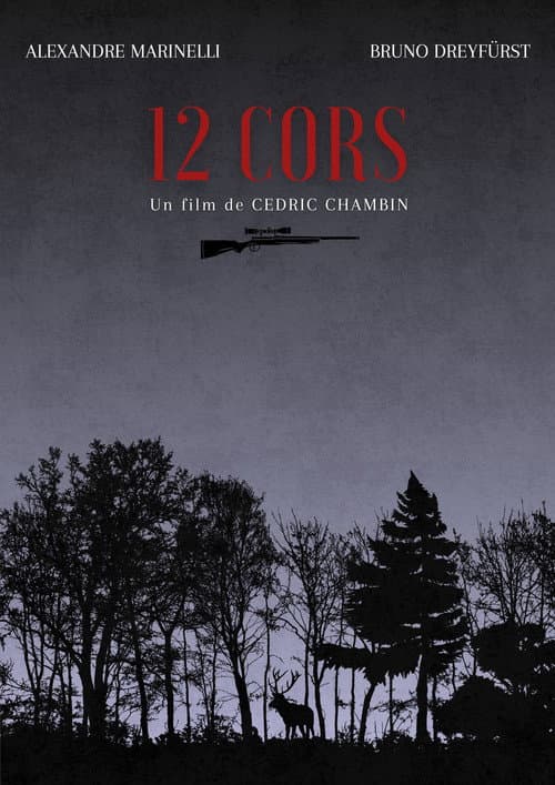 Poster for 12 Horns