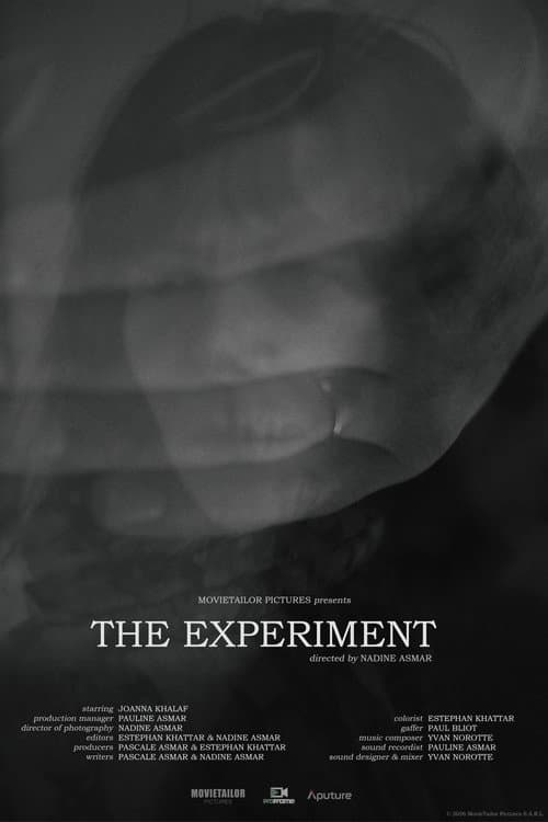 Poster for The Experiment