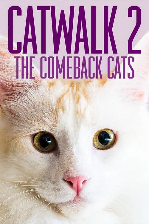 Poster for Catwalk 2: The Comeback Cats