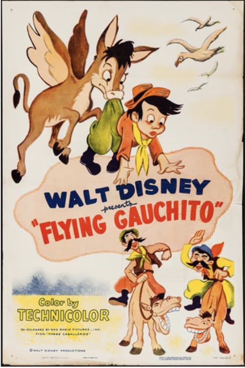 Poster for The Flying Gauchito