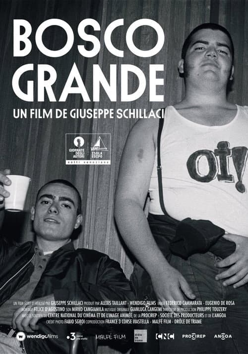 Poster for Big Forest