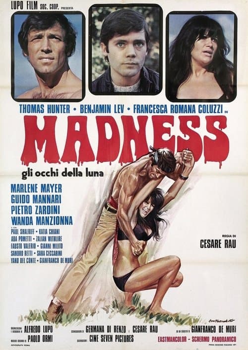 Poster for Madness