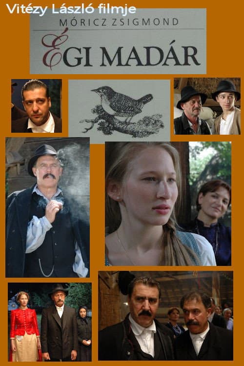Poster for Égi madár