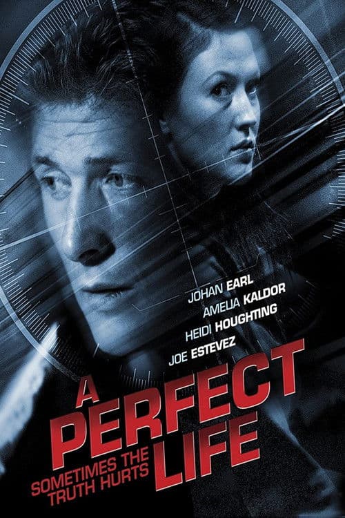 Poster for A Perfect Life