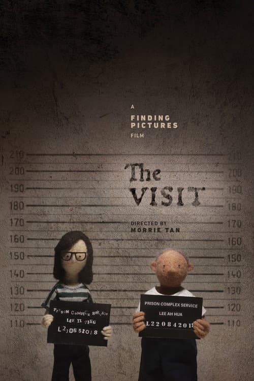 Poster for The Visit