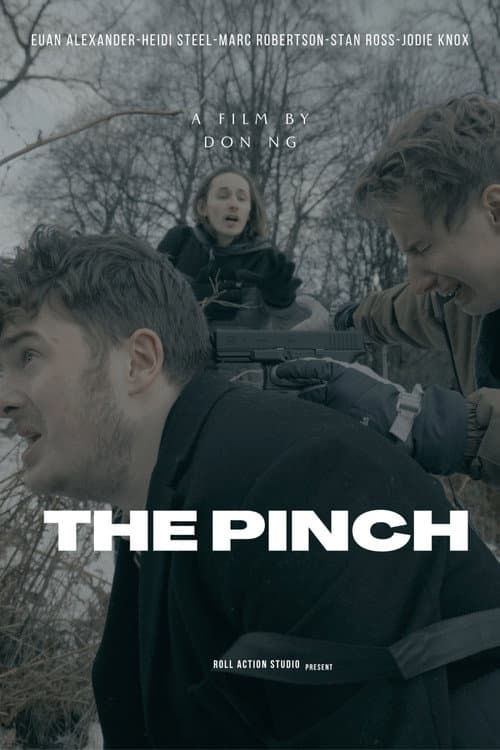 Poster for The Pinch