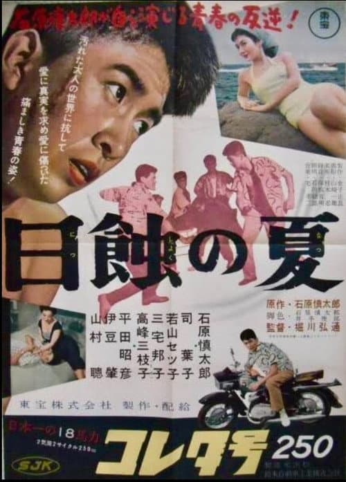 Poster for Summer in Eclipse