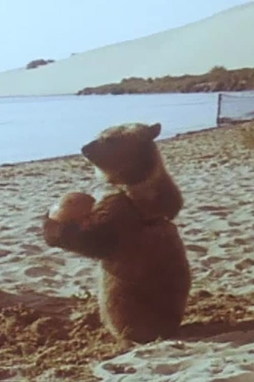 Poster for Little Bear