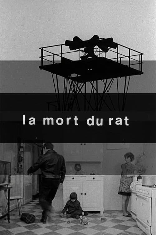 Poster for Death of the Rat