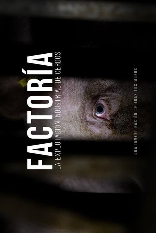 Постер до фільму «Factory: The industrial exploitation of pigs»