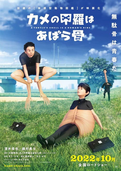 Poster for A Turtle's Shell is a Human's Ribs