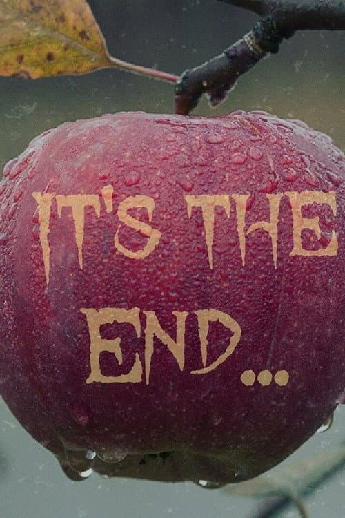 Poster for It’s The End