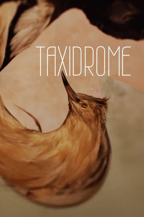 Poster for Taxidrome