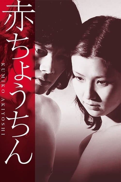 Poster for Red Paper Lantern