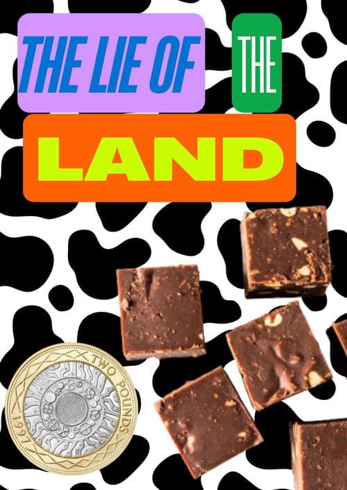 Poster for The Lie of the Land