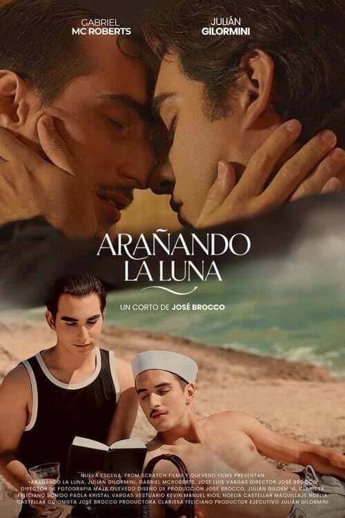 Poster for Arañando la luna