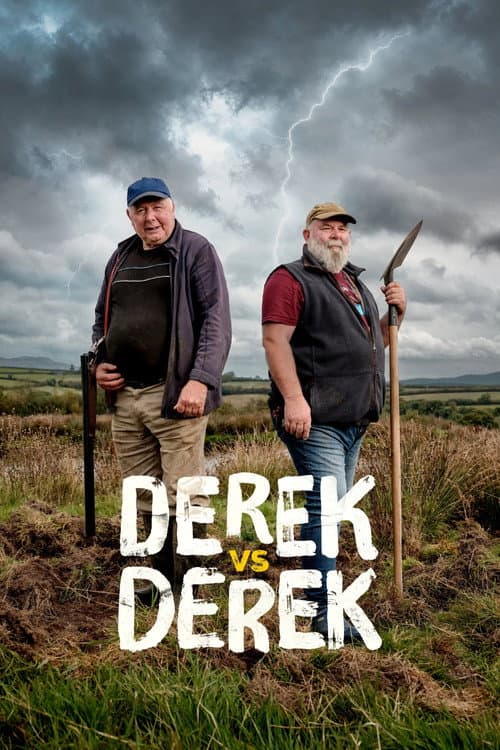 Poster for Derek vs Derek