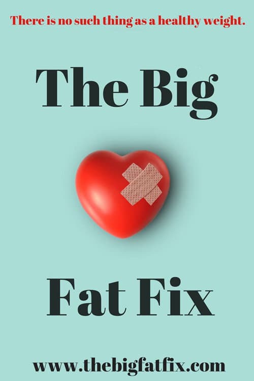 Poster for The Big Fat Fix