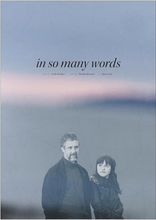 Poster for In So Many Words