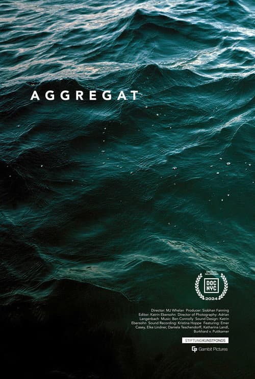 Poster for Aggregat