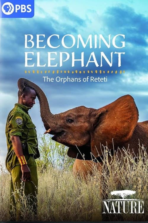 Poster for Becoming Elephant: The Orphans of Reteti
