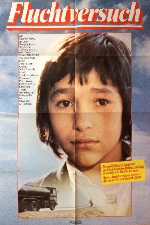 Poster for Attempted Flight