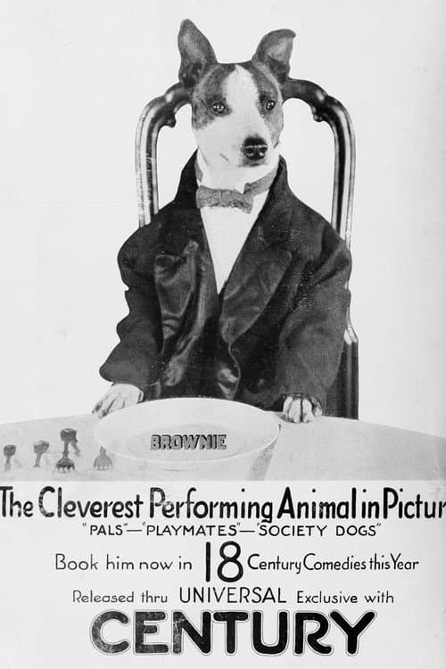 Poster for Society Dogs