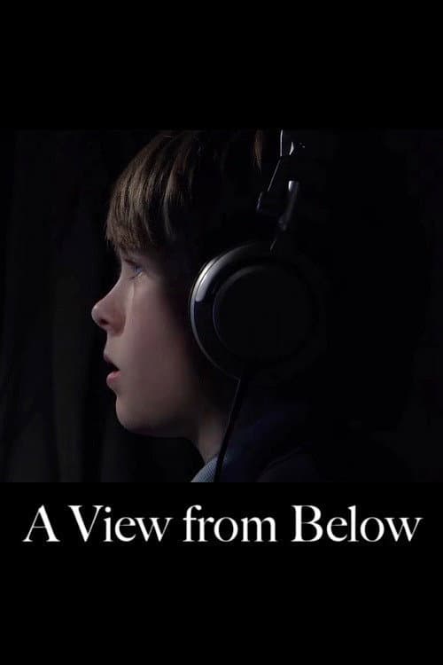 Poster for A View from Below