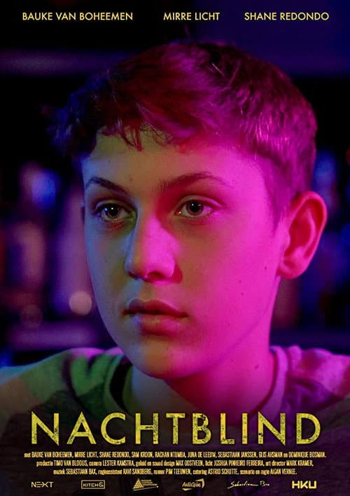 Poster for Nachtblind