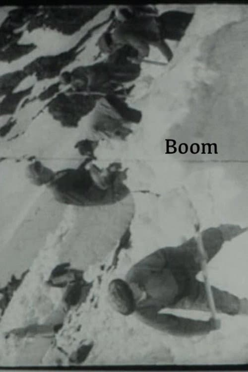 Poster for Boom