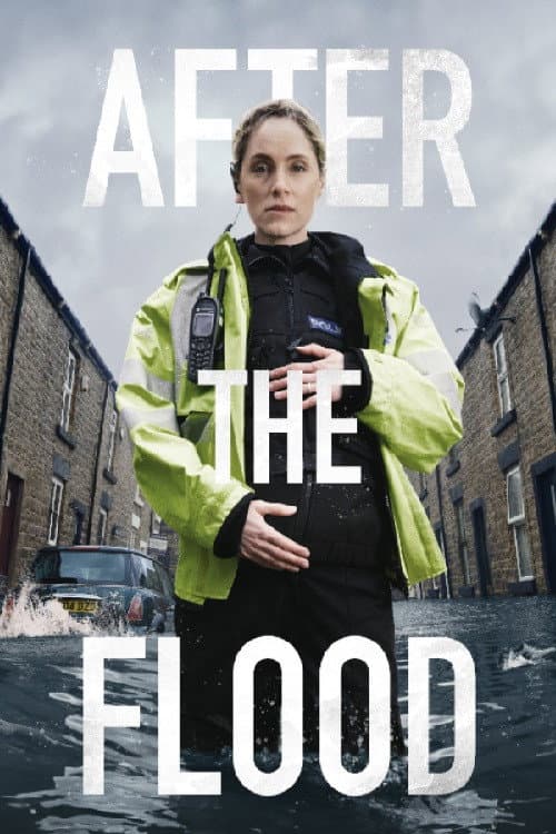 Poster for After the Flood