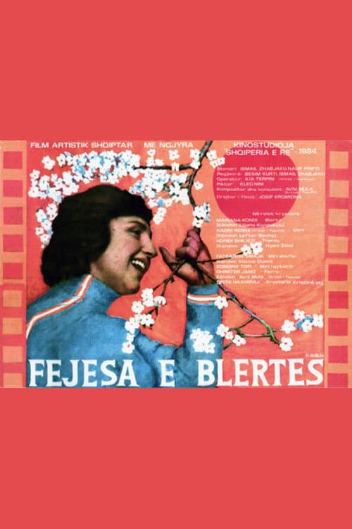 Poster for Blerta's Engagement
