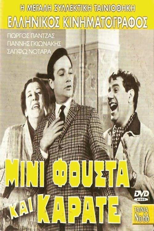 Постер до фільму «Mini Skirt and Karate»