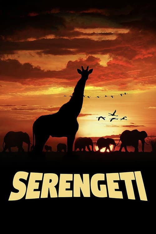 Poster for Serengeti