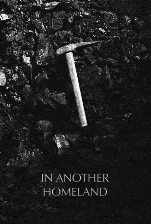 Poster for In Another Homeland