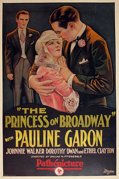 Poster for The Princess on Broadway