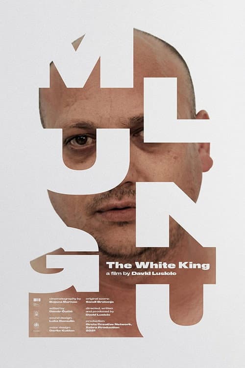Poster for Mlungu - The White King