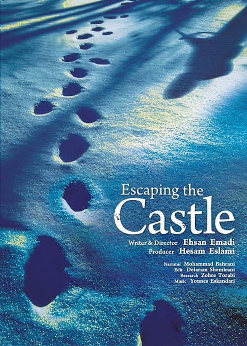 Постер до фільму «Escaping the Castle»