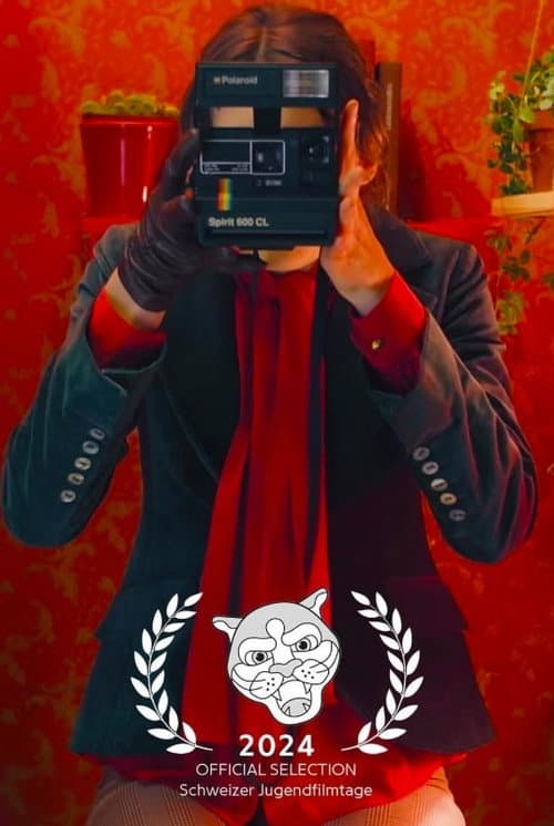 Poster for Diary of a Photobooth