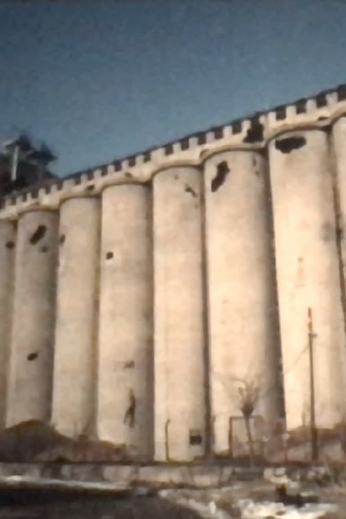 Poster for Silo Danube, Vukovar
