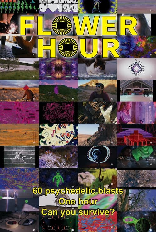 Poster for FLOWER HOUR
